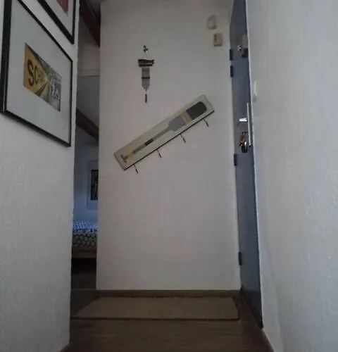 Appartement Vue Et Sur Les Iles D'or D'hyères