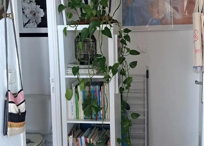 Appartement Vue Et Sur Les Iles D'or D'hyères *