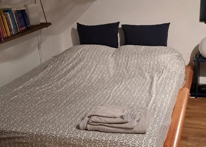 Vue Et Sur Les Iles D'or D'hyères Appartement