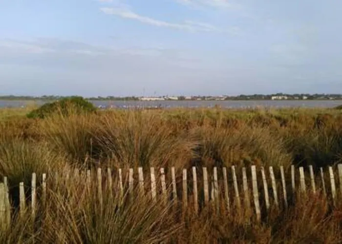 Vue Et Sur Les Iles D'or D'hyeres *